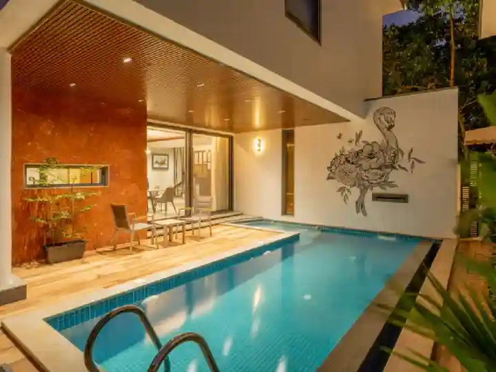 1_5_68_21_38_f736e98a76