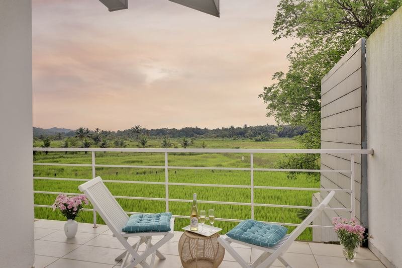 20230923173807_IMG_5105 copy